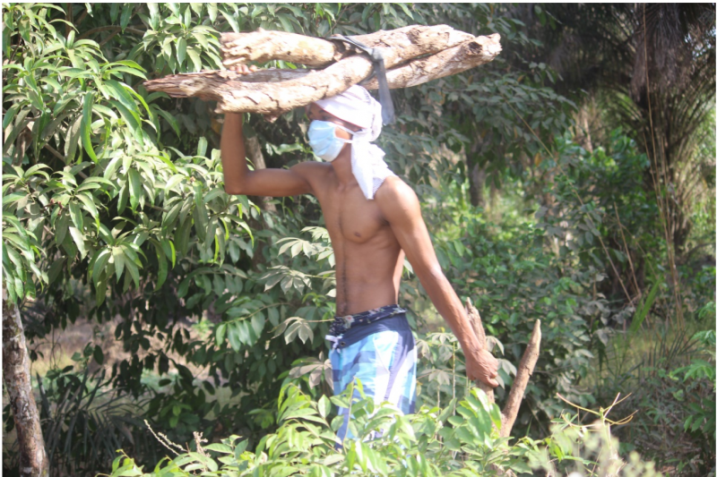 The implications of the COVID-19 pandemic for the environment